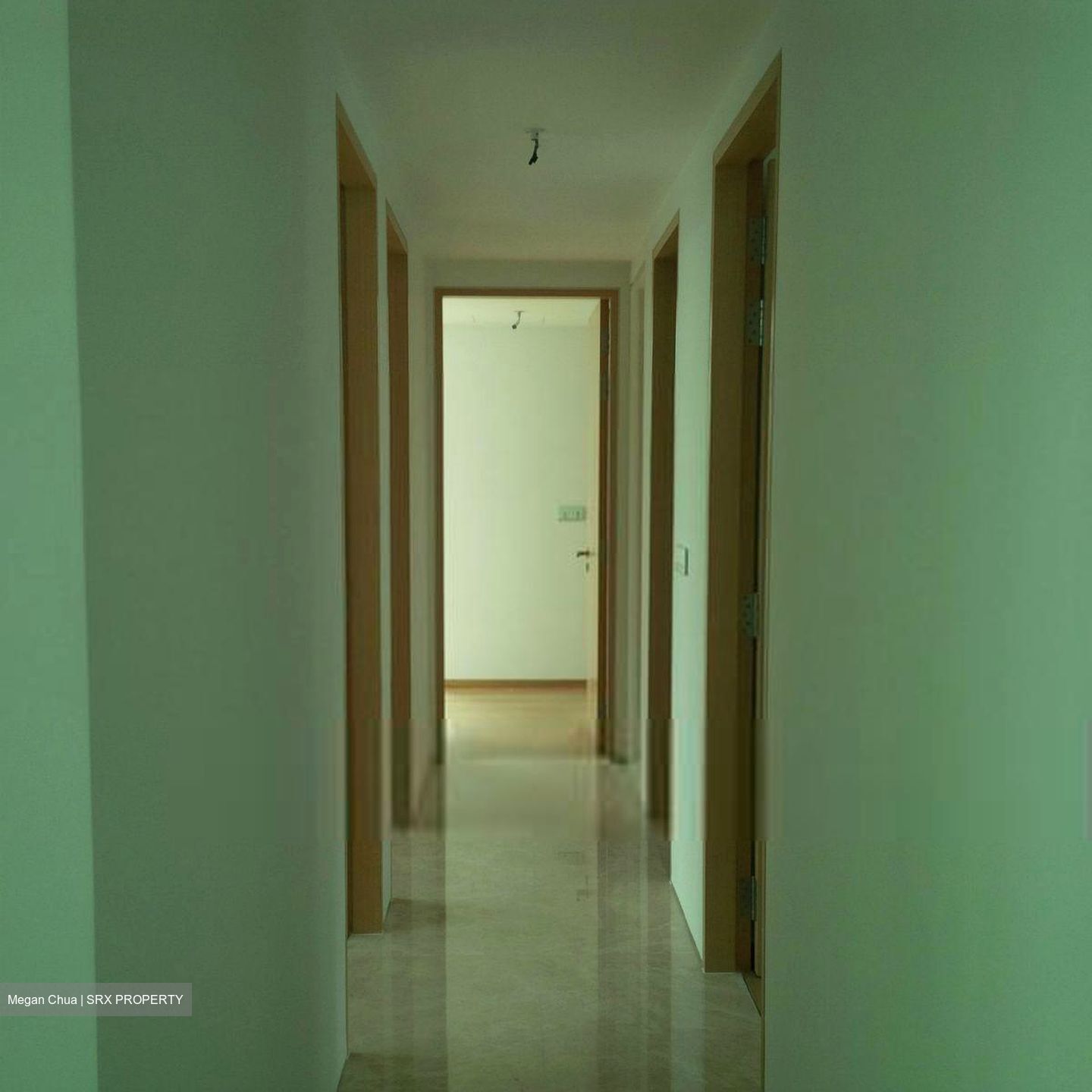 The Vermont On Cairnhill (D9), Apartment #607458601